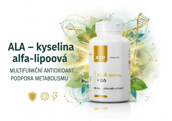 Gemini_Generated_Image_t4s1ait4s1ait4s1 (1).png