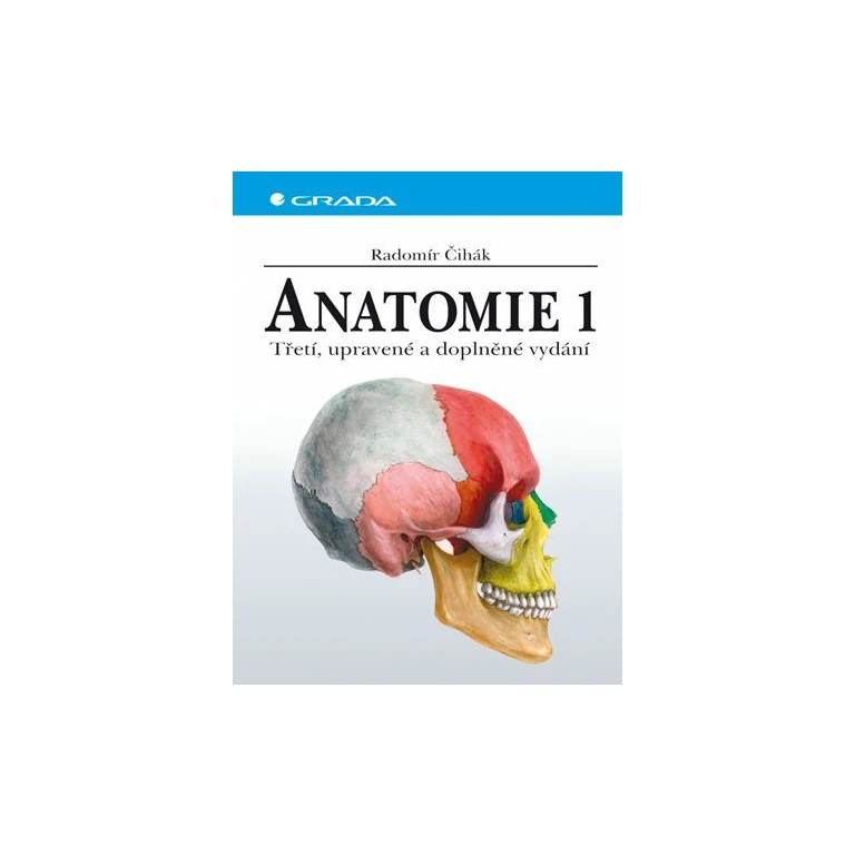 Anatomy 1