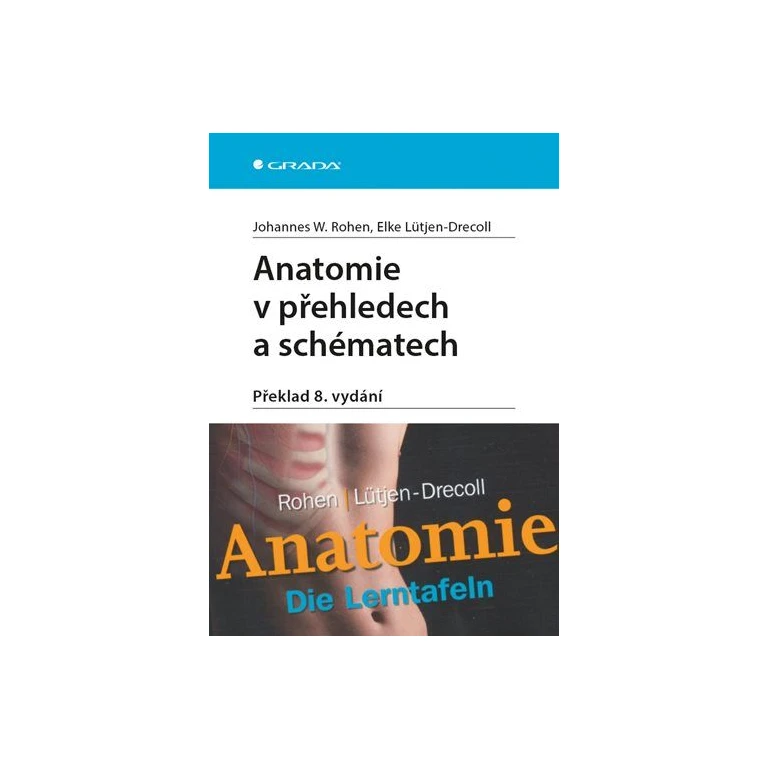 Anatomy in summaries and diagrams